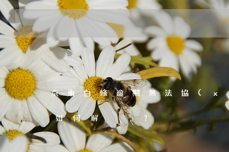 京東白條逾期無法協(xié)商分期還款：如何解決？